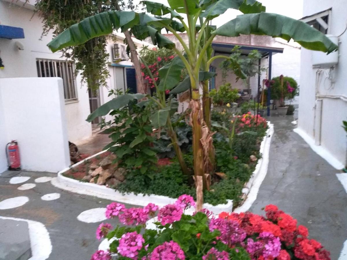 4 Seasons Suites Paradise Near Athens Airport Markopoulo Mesogaias Exterior photo