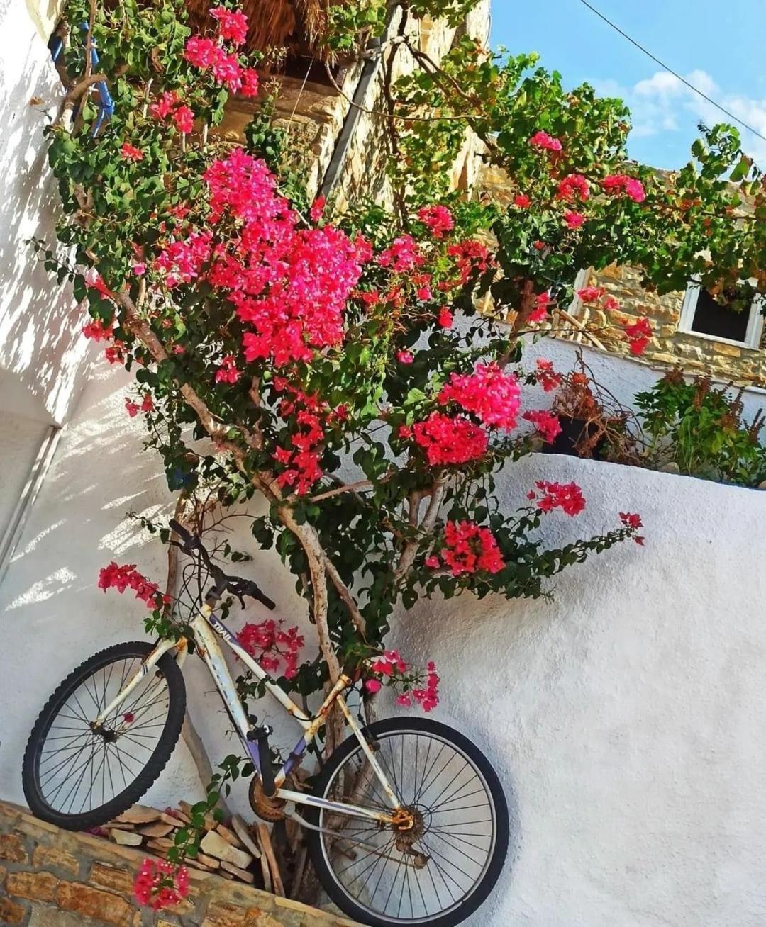 4 Seasons Suites Paradise Near Athens Airport Markopoulo Mesogaias Exterior photo