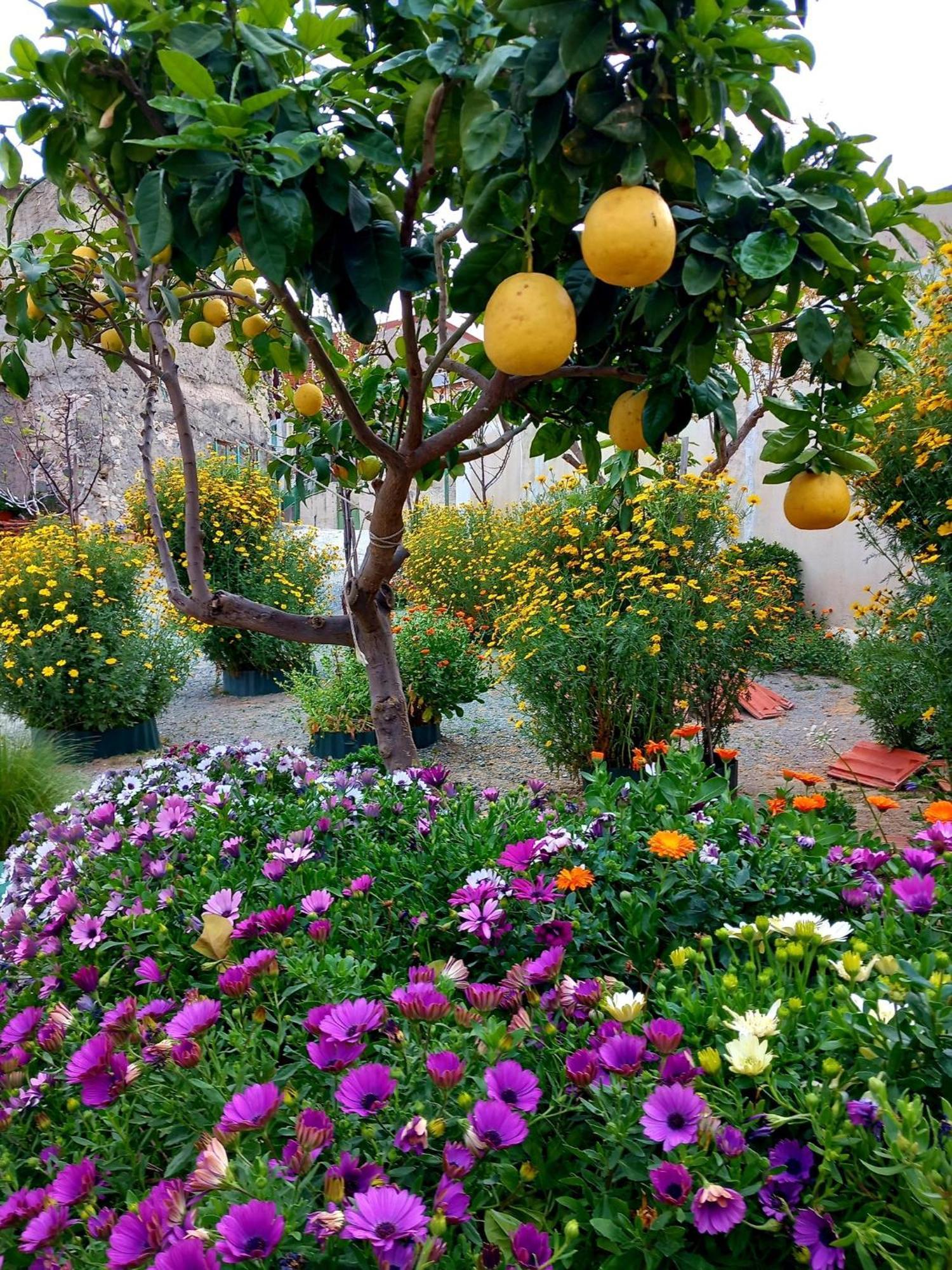 4 Seasons Suites Paradise Near Athens Airport Markopoulo Mesogaias Exterior photo
