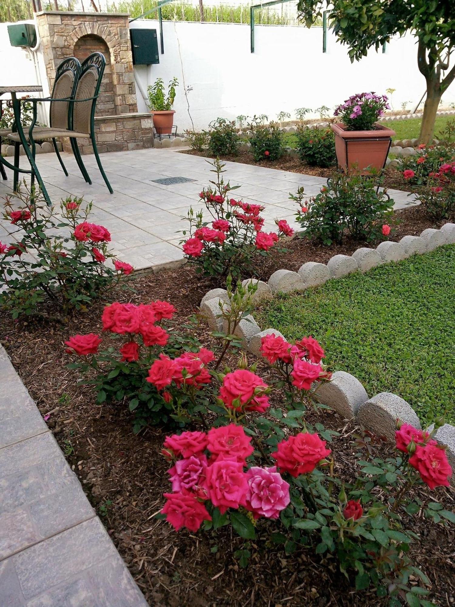 4 Seasons Suites Paradise Near Athens Airport Markopoulo Mesogaias Exterior photo