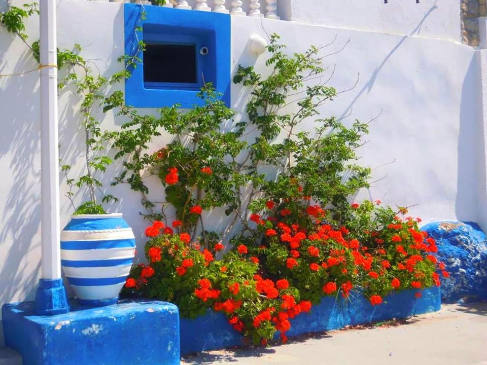 4 Seasons Suites Paradise Near Athens Airport Markopoulo Mesogaias Exterior photo