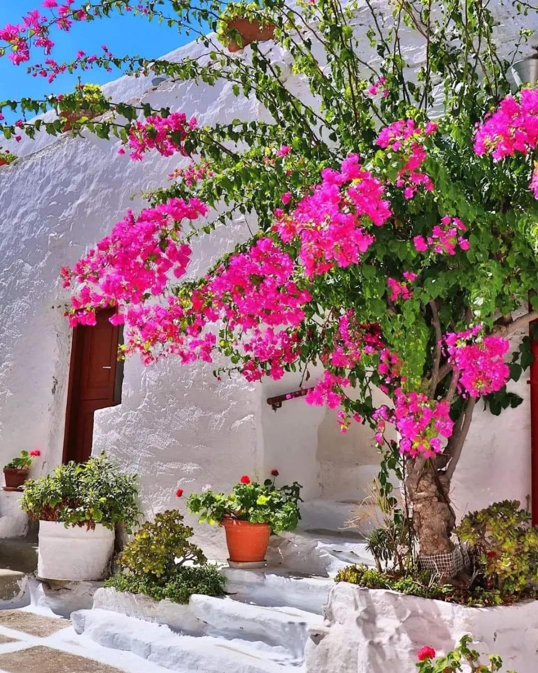 4 Seasons Suites Paradise Near Athens Airport Markopoulo Mesogaias Exterior photo